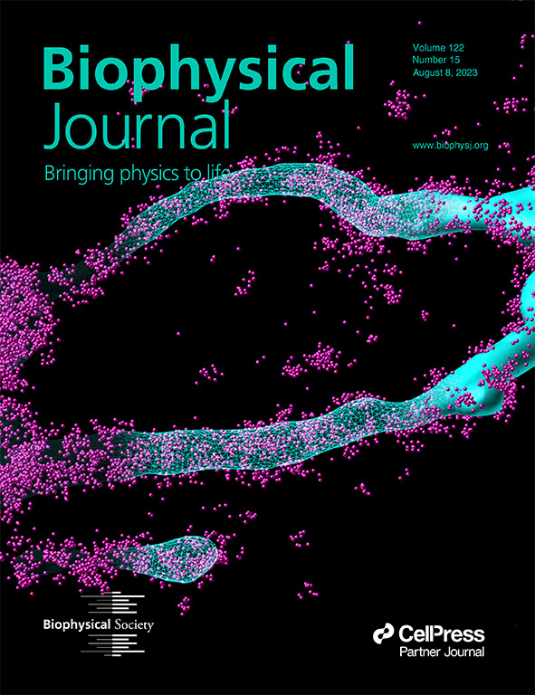 Biophysical Journal Volume 122 Number 15 Cover Art